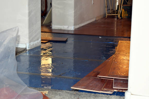 Professional Emergency Water Damage Restoration technician working in Lowell, OH